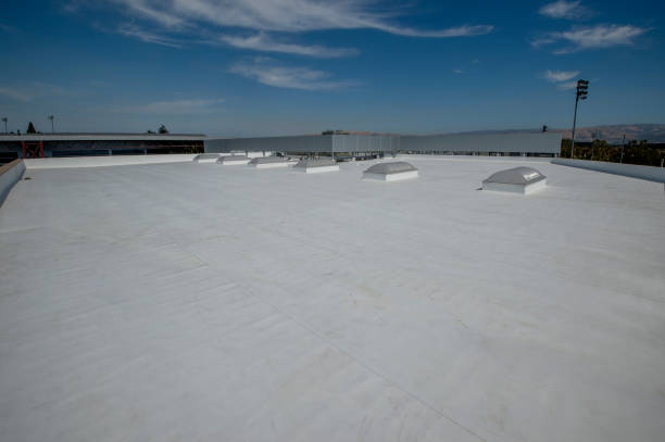 Best Cold Roofs  in Annandale, VA