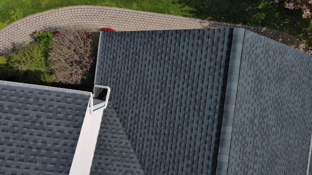 Best Solar Panel Roofing Installation  in Annandale, VA
