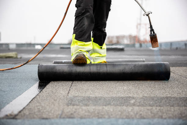 Best Roof Ventilation Installation  in Annandale, VA